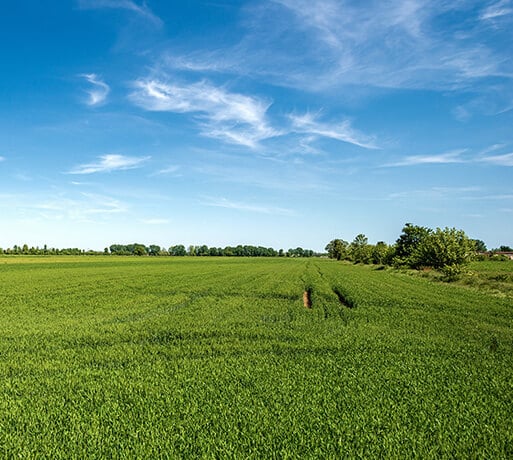 End of field background