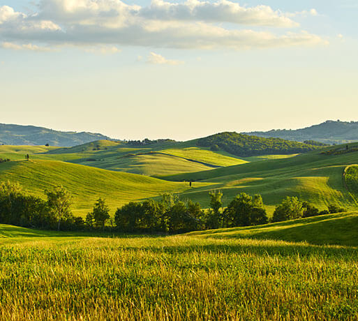 Grass field rolling fields background